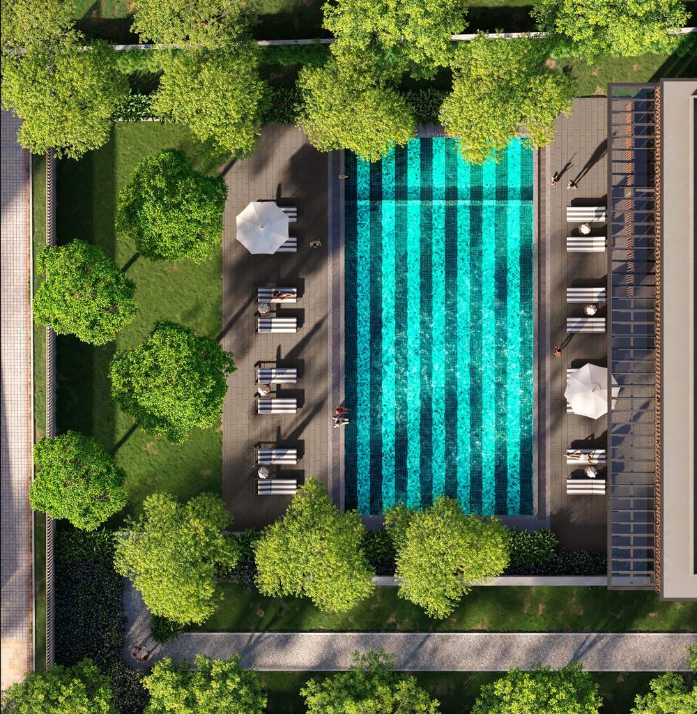 Swimming pool seen from above